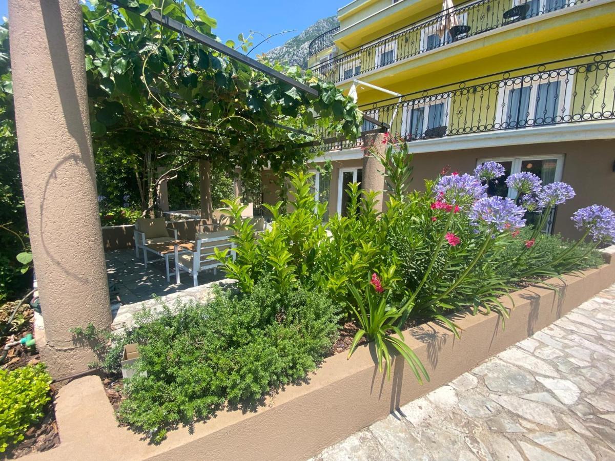 2montenegro Mimoza Apartment Dobrota